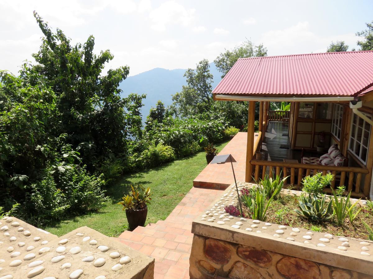 Nkuringo Bwindi Gorilla Lodge Eksteriør bilde