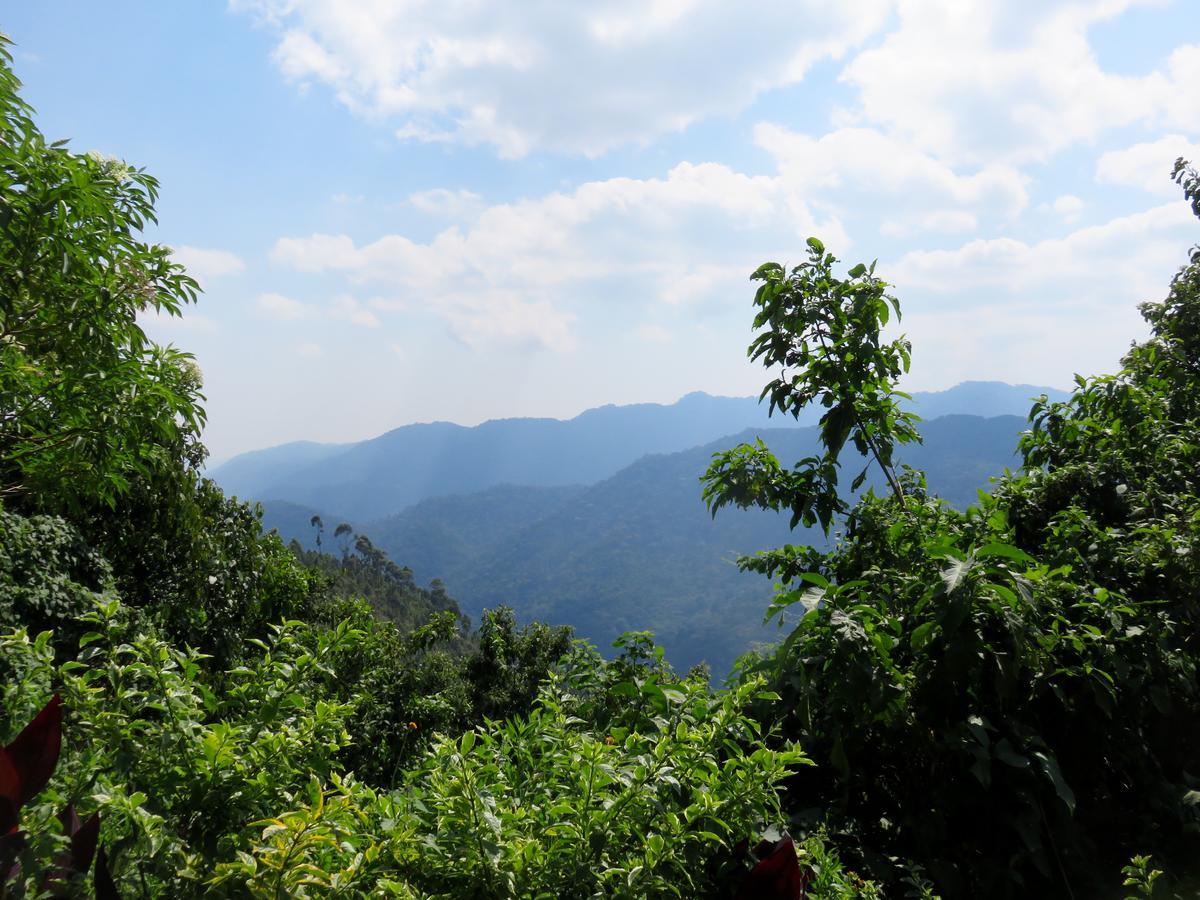Nkuringo Bwindi Gorilla Lodge Eksteriør bilde