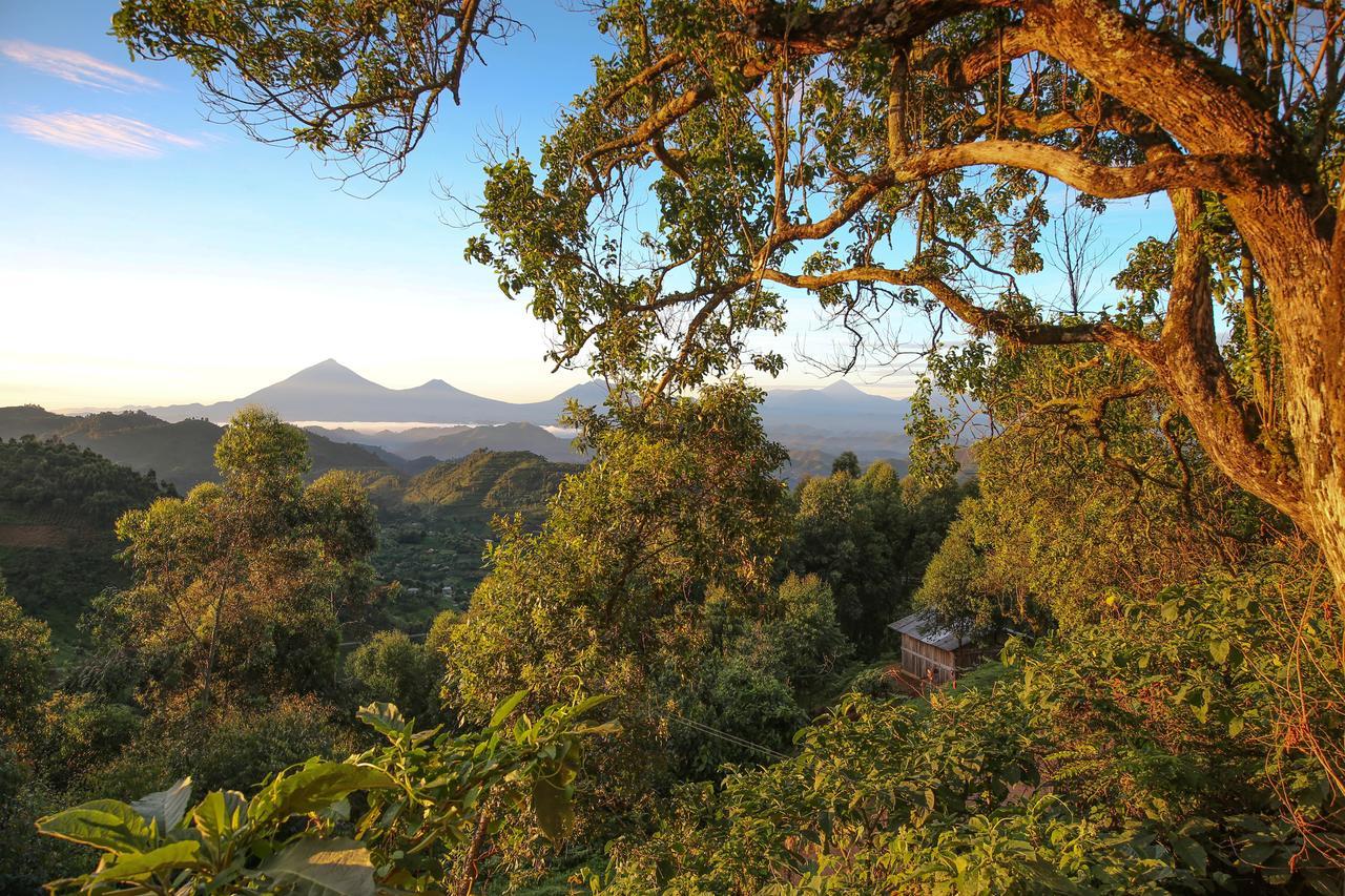 Nkuringo Bwindi Gorilla Lodge Eksteriør bilde