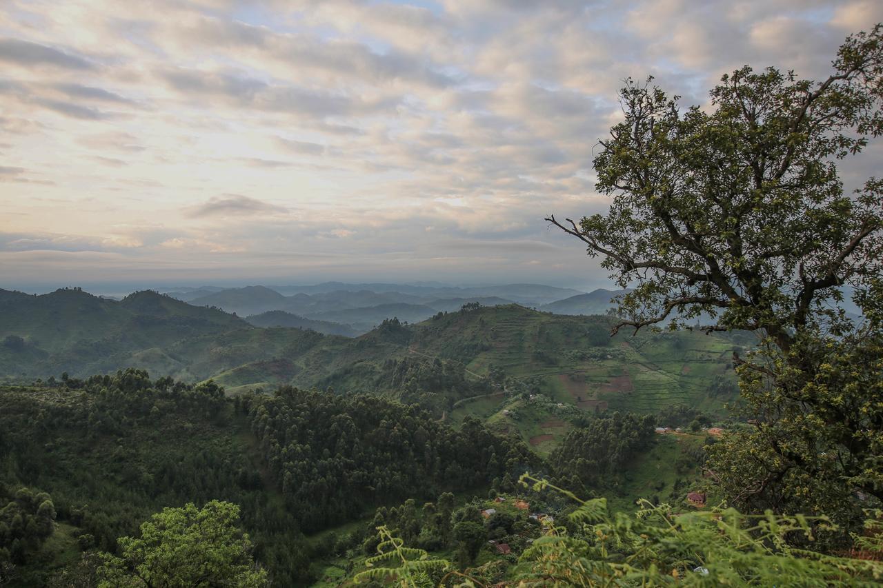 Nkuringo Bwindi Gorilla Lodge Eksteriør bilde