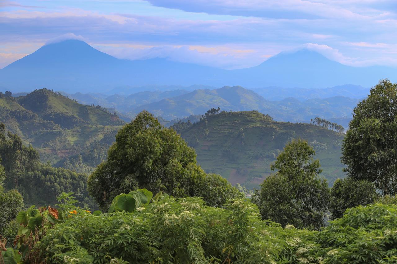 Nkuringo Bwindi Gorilla Lodge Eksteriør bilde